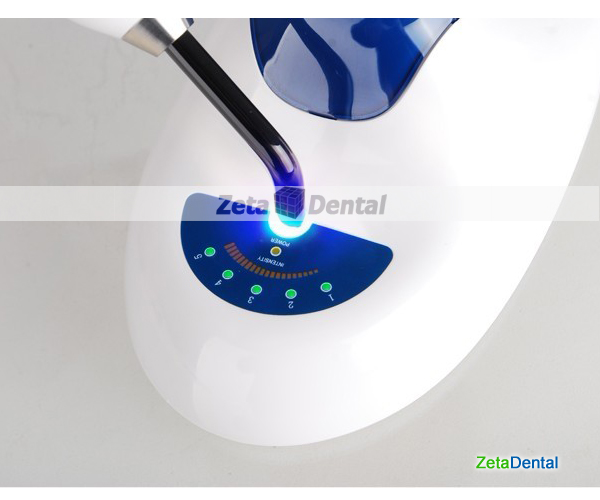 Curing Light D5